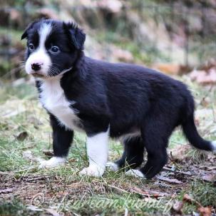 IMG_20200306_061329_827