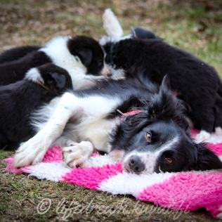 IMG_20200306_200508_780