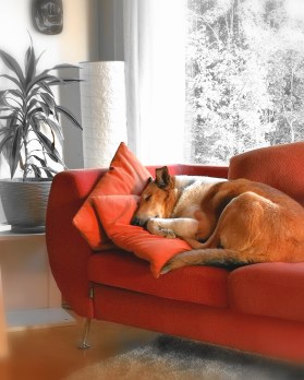 IMG_20200729_202719_162