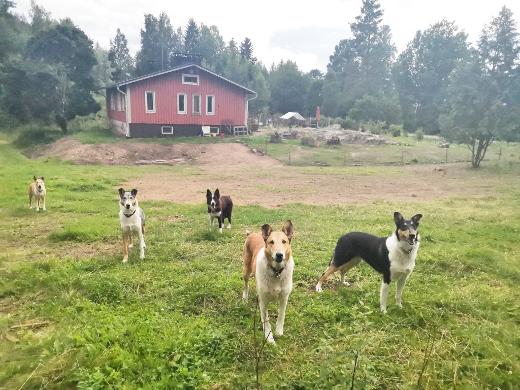 RemonttiRitva, otaksun?