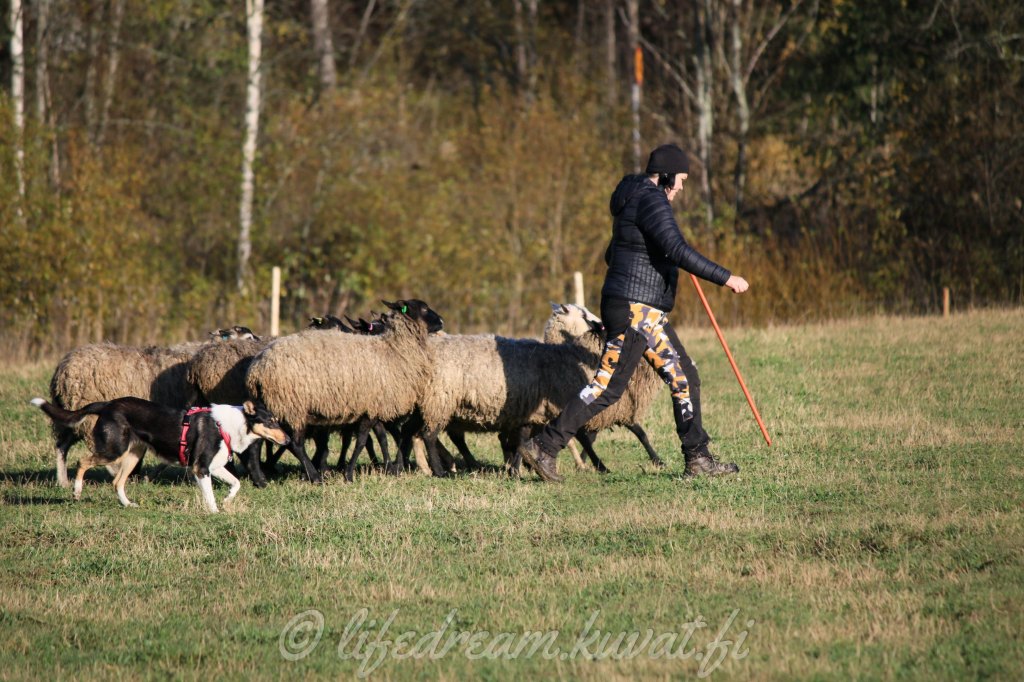 Häkitystreenit Somerolla