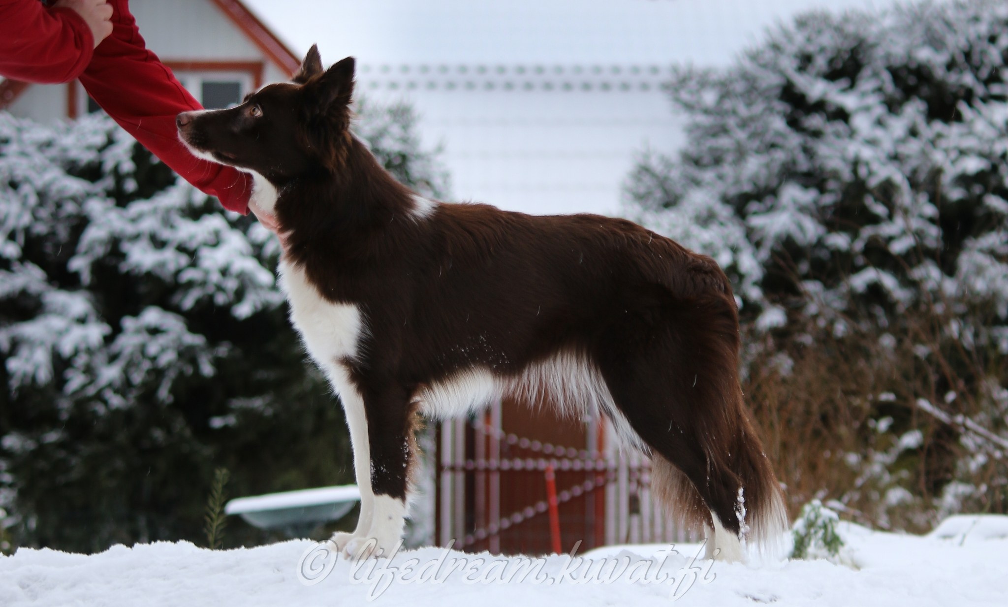 3G5A0596.jpg_img=img2048&amp;dl=1&amp;usersession=epelppi1uu3evbdu3r8t204do0lat1mfq1u5bl15jev1or5f23i38aagghmeb7tblruv98pnagknfq9vi1g60bq67drj3jgdthg5ed94n1hp460lqpav193gp1lpfbthtn59abvvao1b8qbrb7p8lnehabicamneliqe5kt00tp8mo1kkgu