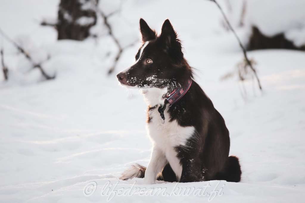 Hui kauhistus mikä&nbsp;Säikähdys!