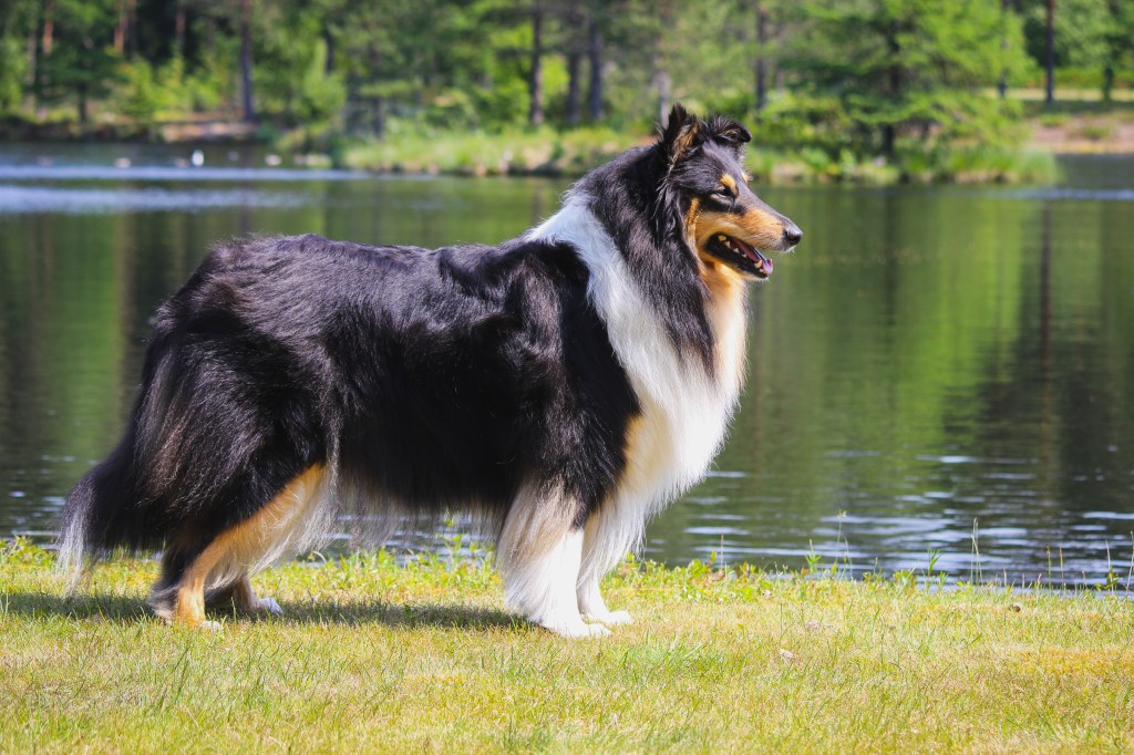 vALOKUVAUSPÄIVÄ iLOLAN ARBORETUMISSA