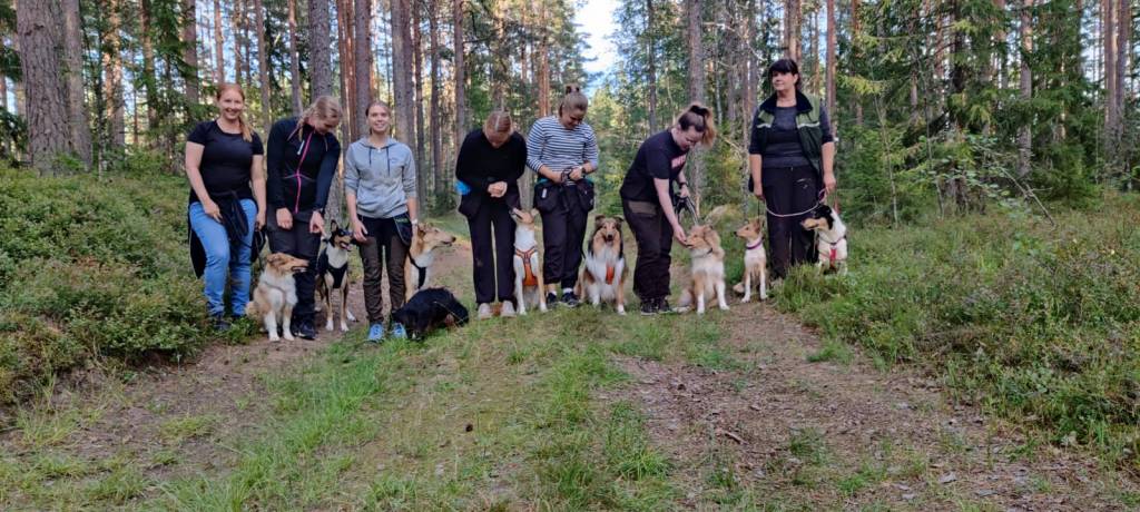 hakutreenit käynnistyneet