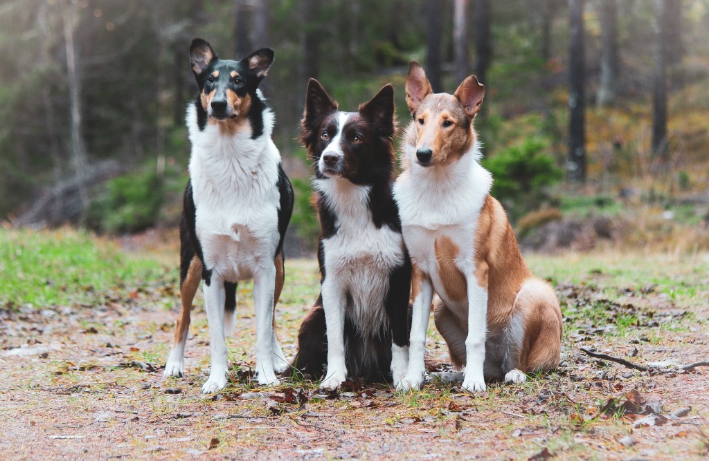 Motivaatiota lokakuussa