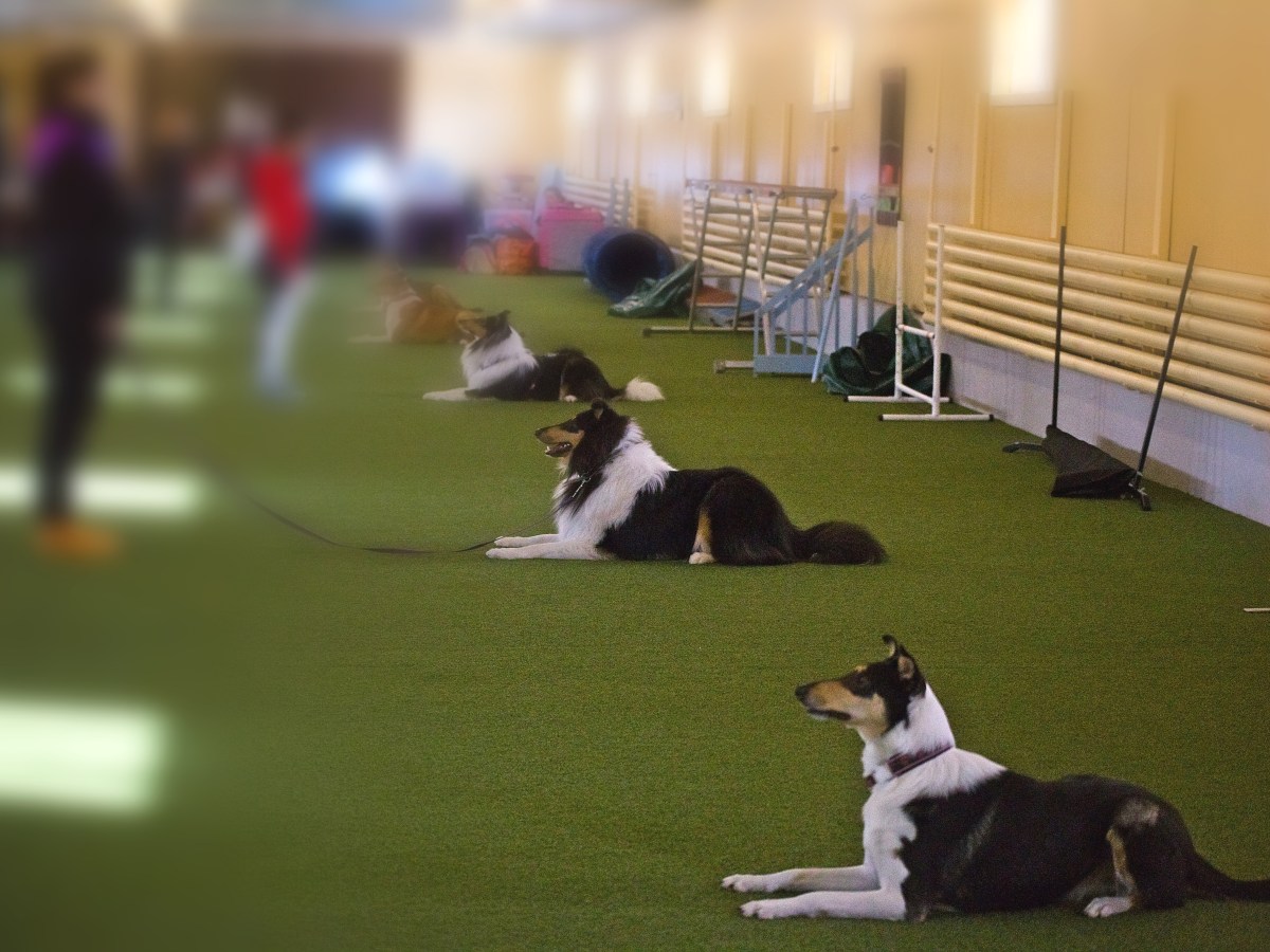 Tokokoe Lohja 11.2.&nbsp;23