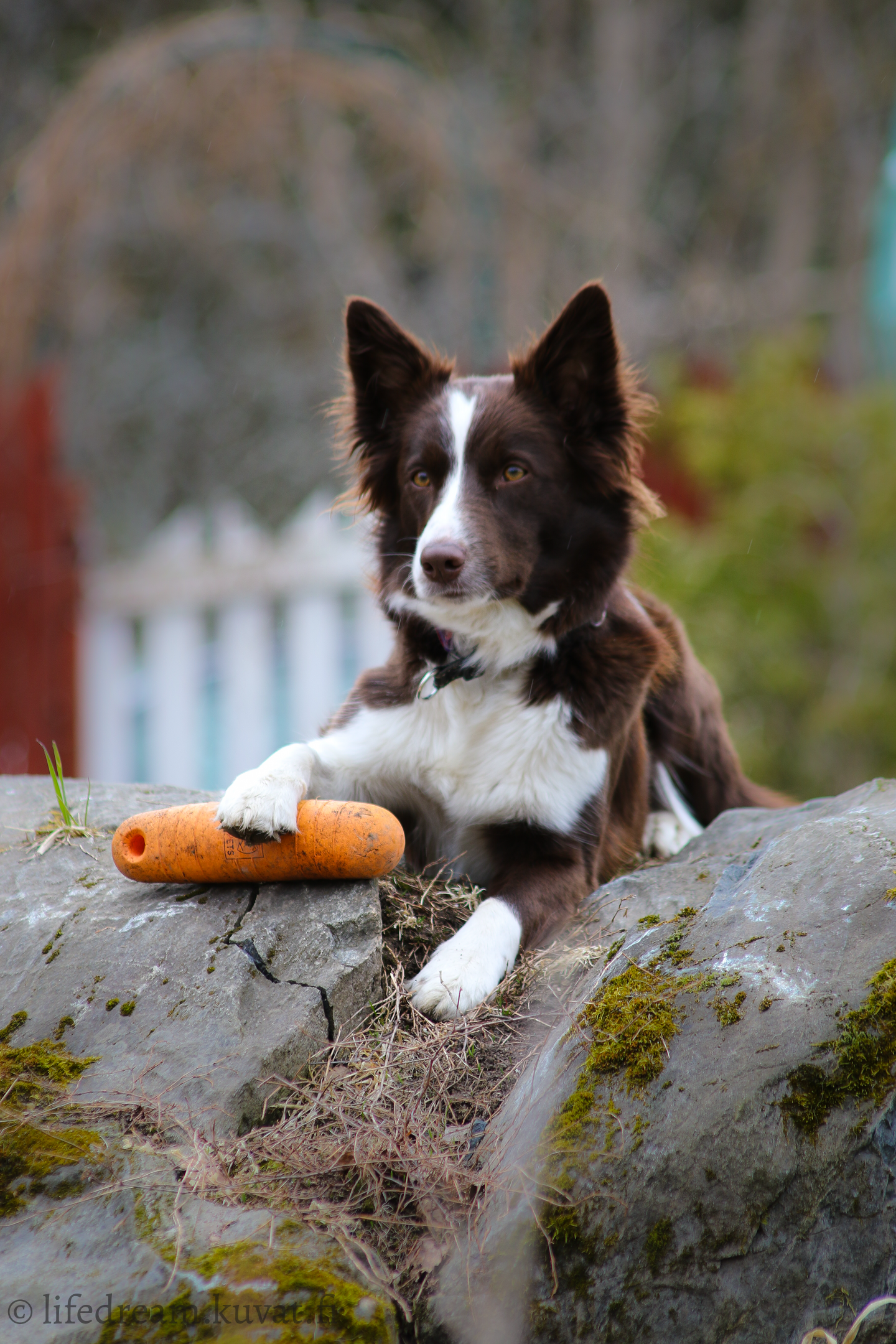 caVrbSGQbceTRla4YqzpCnIOMRMOf64TXMgkv4mHwUGn2cn8lw10jh8bqat6NQJH