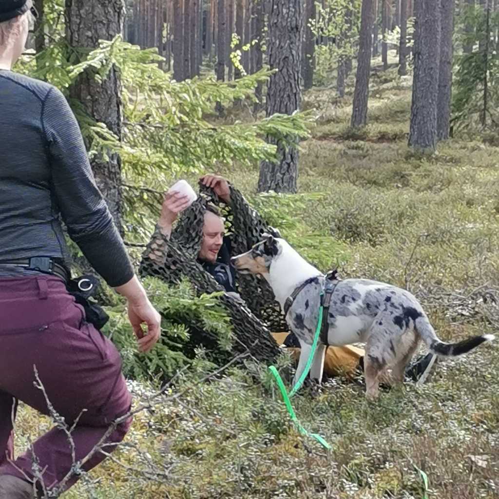 Palautetta tapahtumista