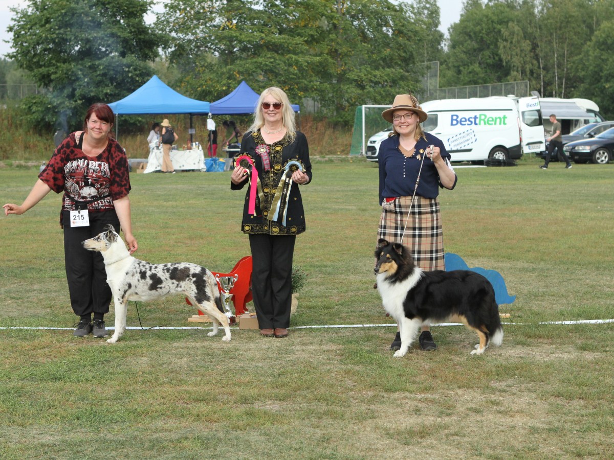 Pimu erikoisnäyttelyn BIS-pentu!