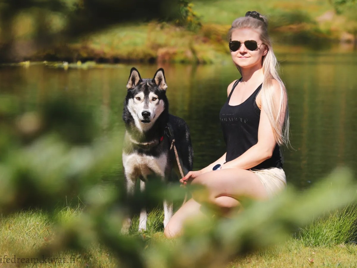 Koiran sisäsyntyinen käyttäytyminen