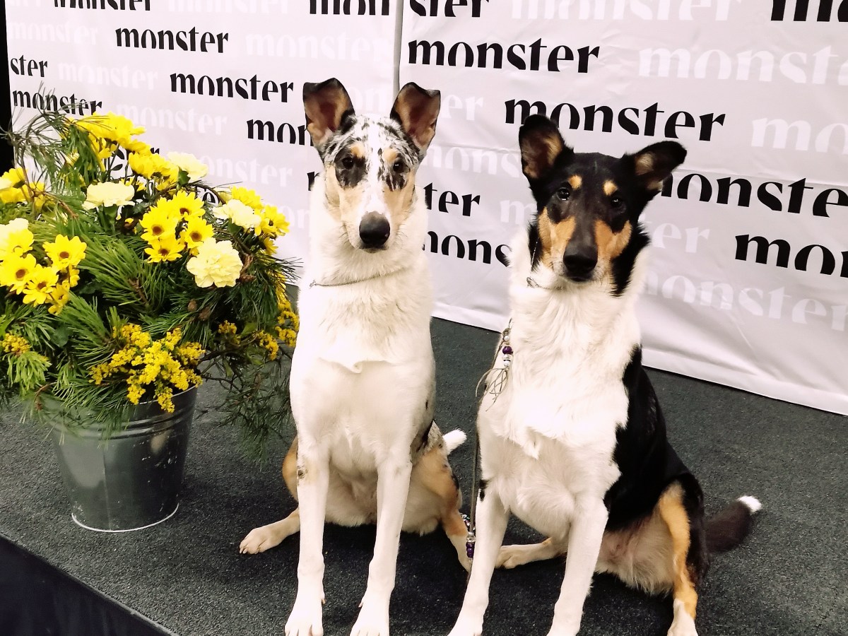 Pimulle kaksois ROP-junnu voitto&nbsp;Jyväskylässä