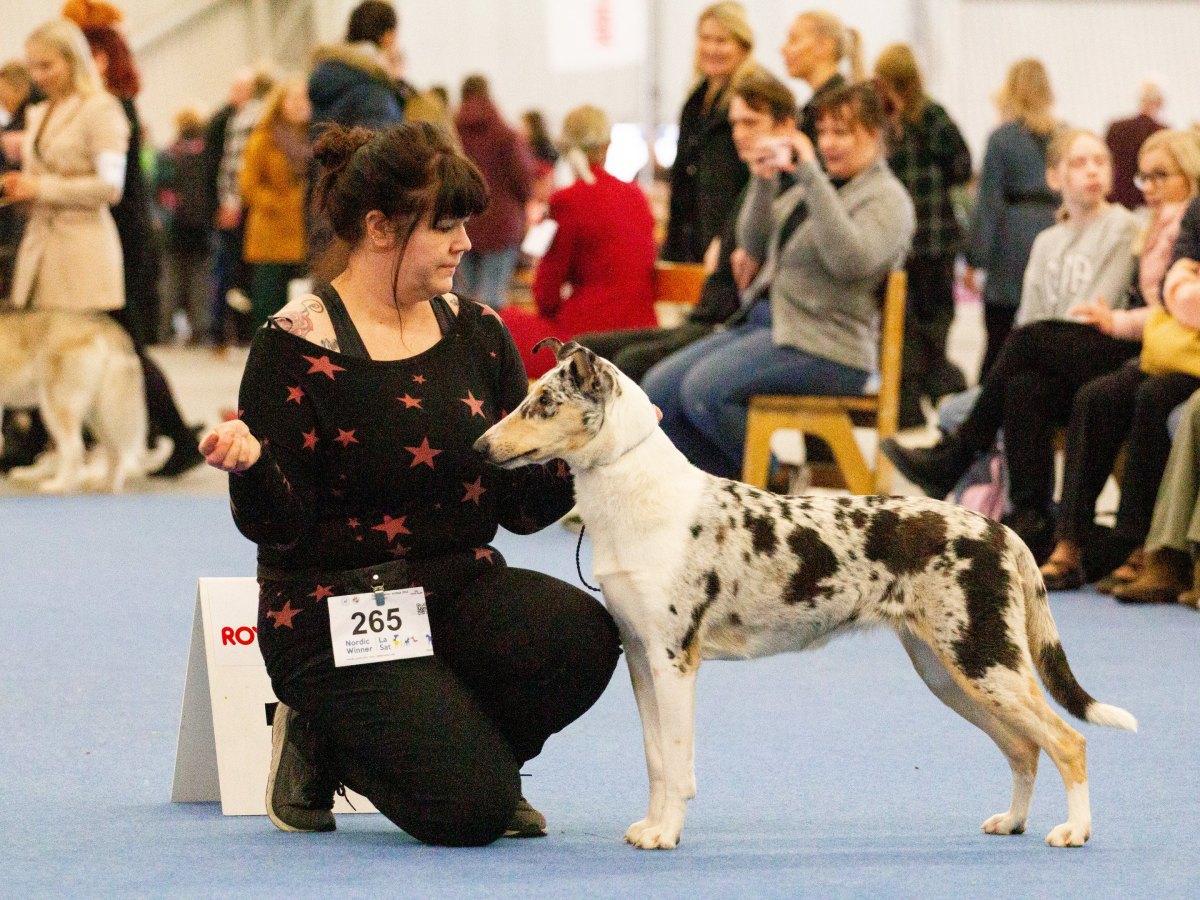 Pimun hattutemppu messarissa!