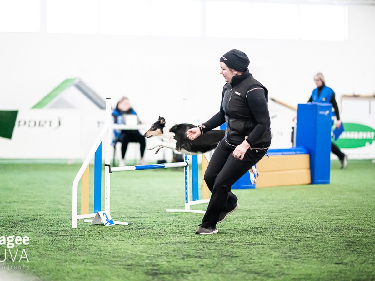 Jussikisat 23-24.6.23