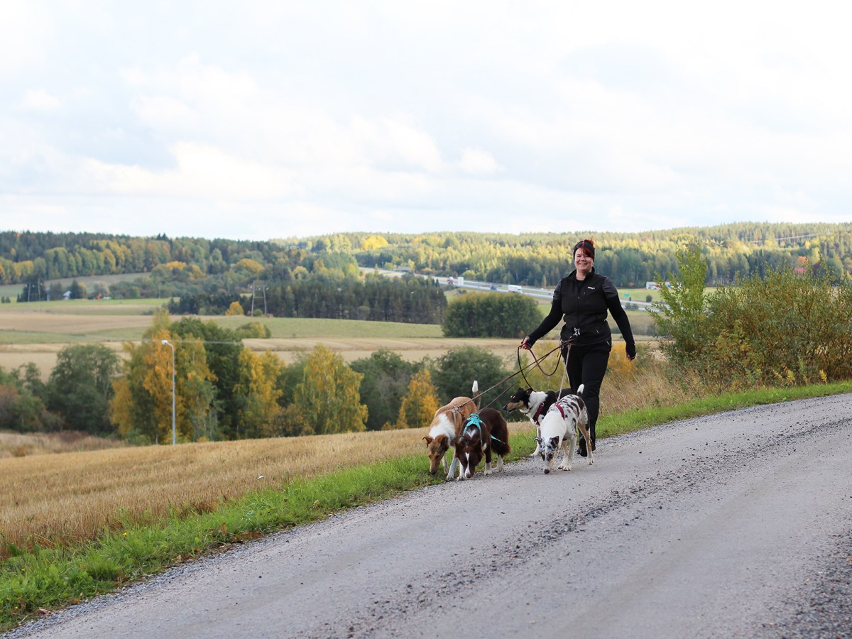 Muuttaako omistaja koiran persoonallisuutta?