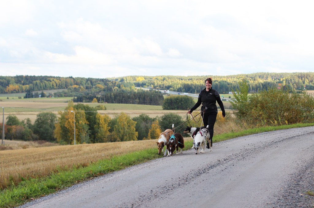 Muuttaako omistaja koiran persoonallisuutta?