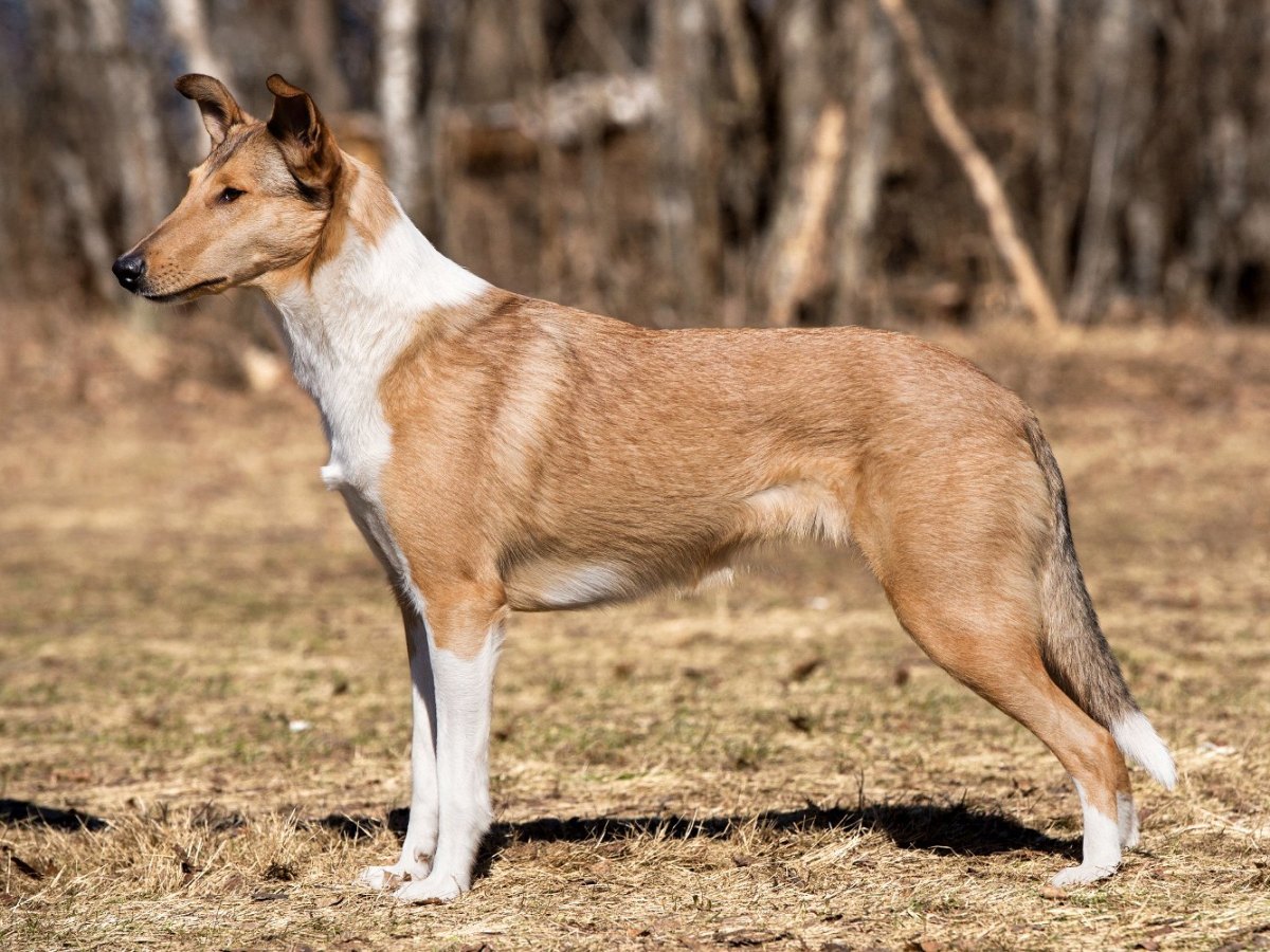 Lottalle eka tulos&nbsp;rallytokosta