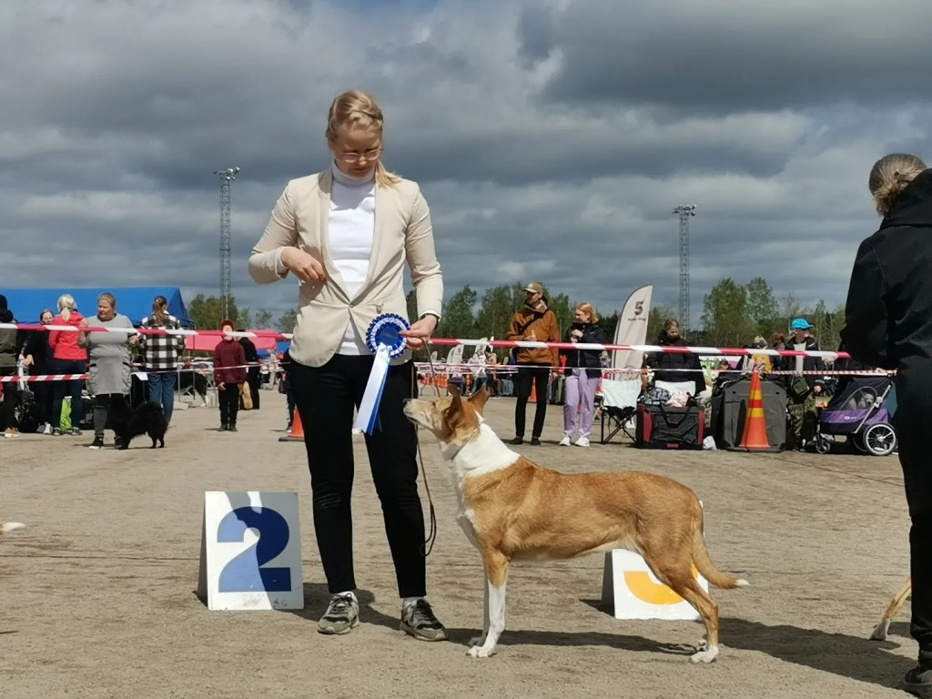 FI MVA FI VMVA TK1 TK2 RTK1 Lifedream Silence Of the Lambs