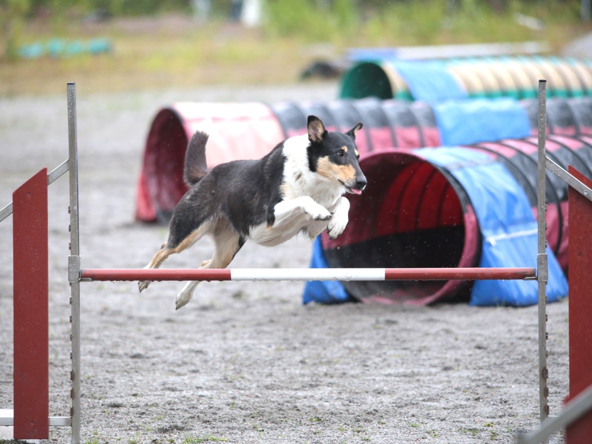 Vuodesta 2023 vuoteen&nbsp;2024