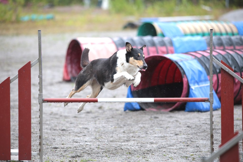 Vuodesta 2023 vuoteen&nbsp;2024