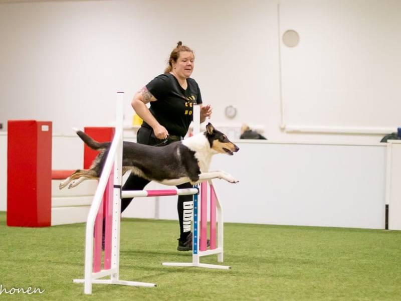 Tsau juhannuskisat 2025