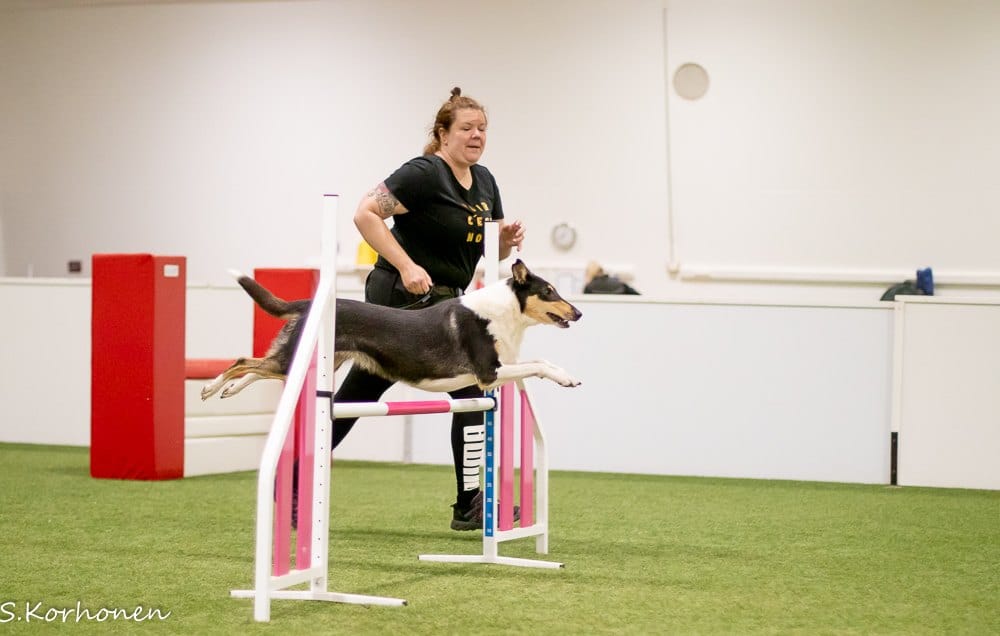 Tsau juhannuskisat 2025