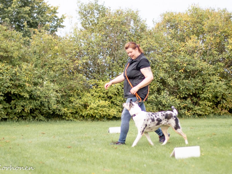 Pimu pääyhdistyksen vuoden rallytokotulokas 2023!