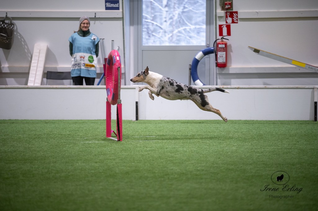 Lokakuun ja marraskuun&nbsp;treenit