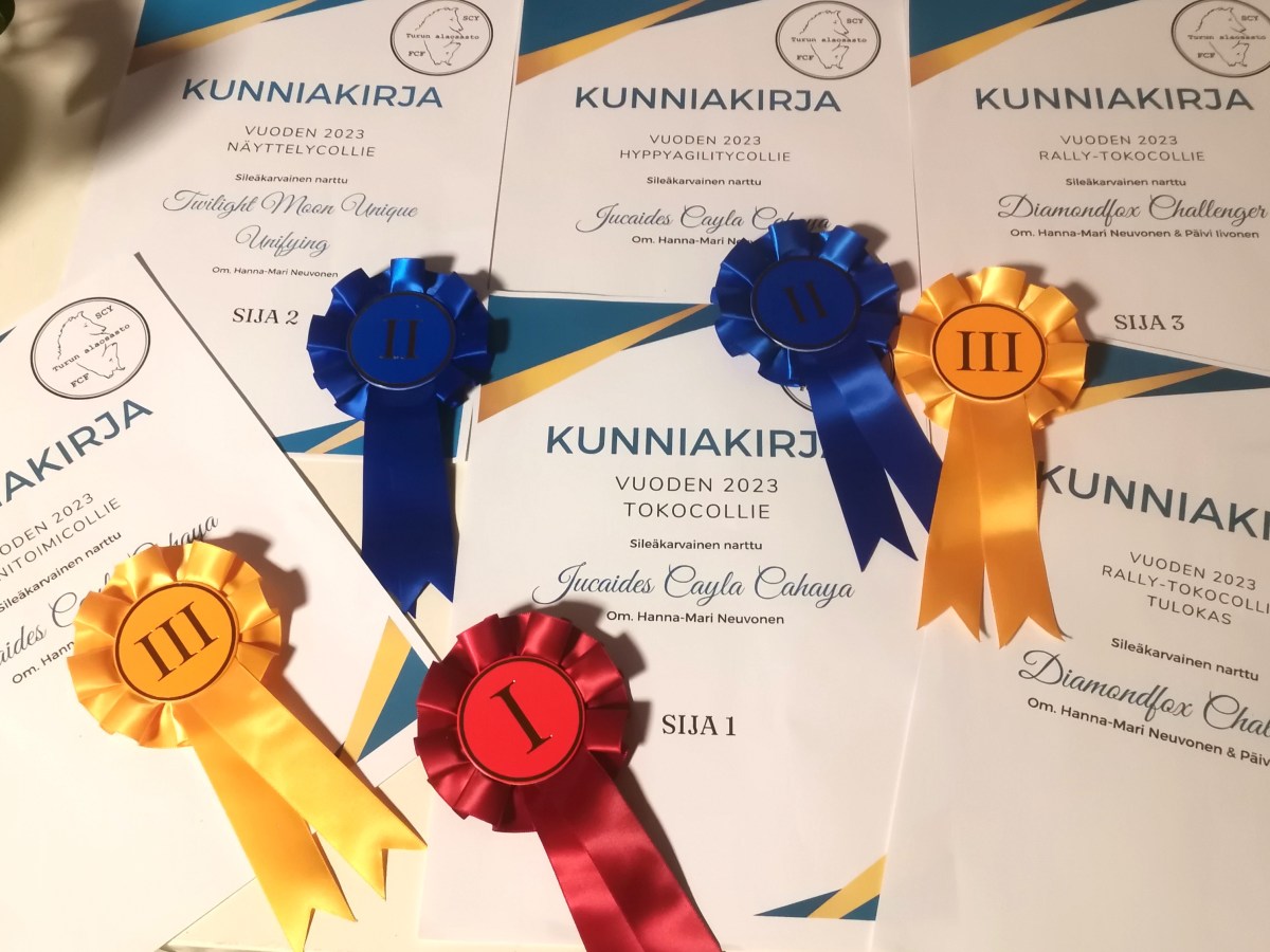 Scyn Turun alaosaston vuoden koira kilpailut&nbsp;2023