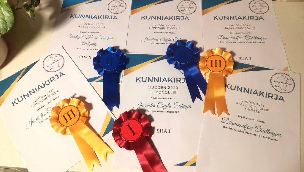 Scyn Turun alaosaston vuoden koira kilpailut&nbsp;2023