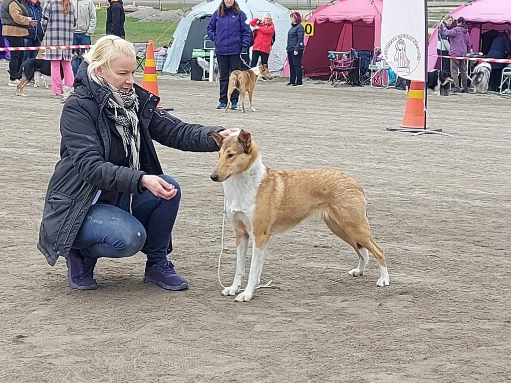 Lotasta suomen muotovalio