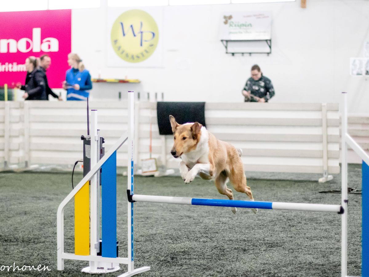 Pääsiäiskisat 2024