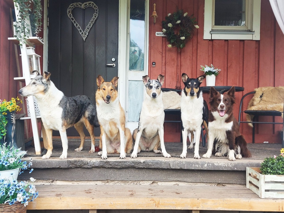 Tavoitteet, miten ja&nbsp;miksi?