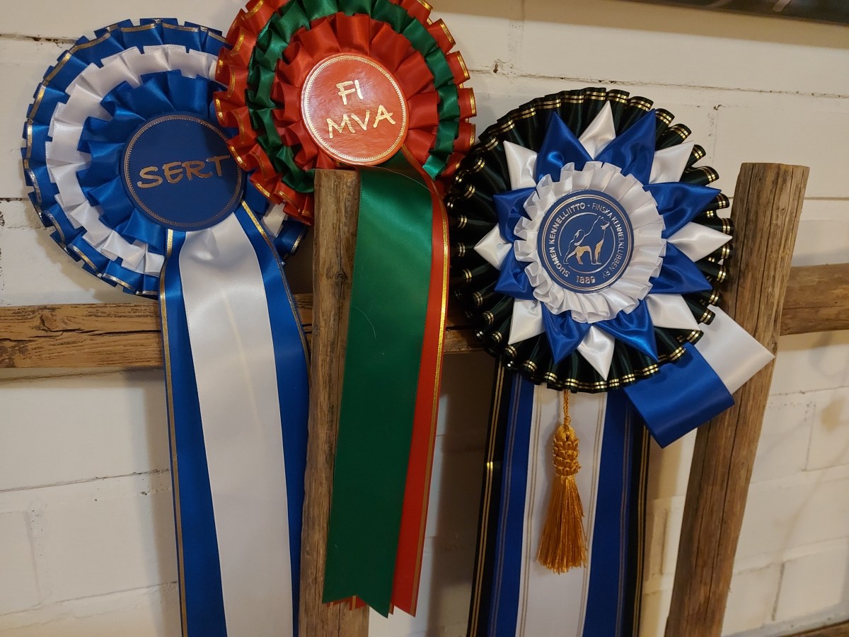 Pimusta suomen muotovalio!