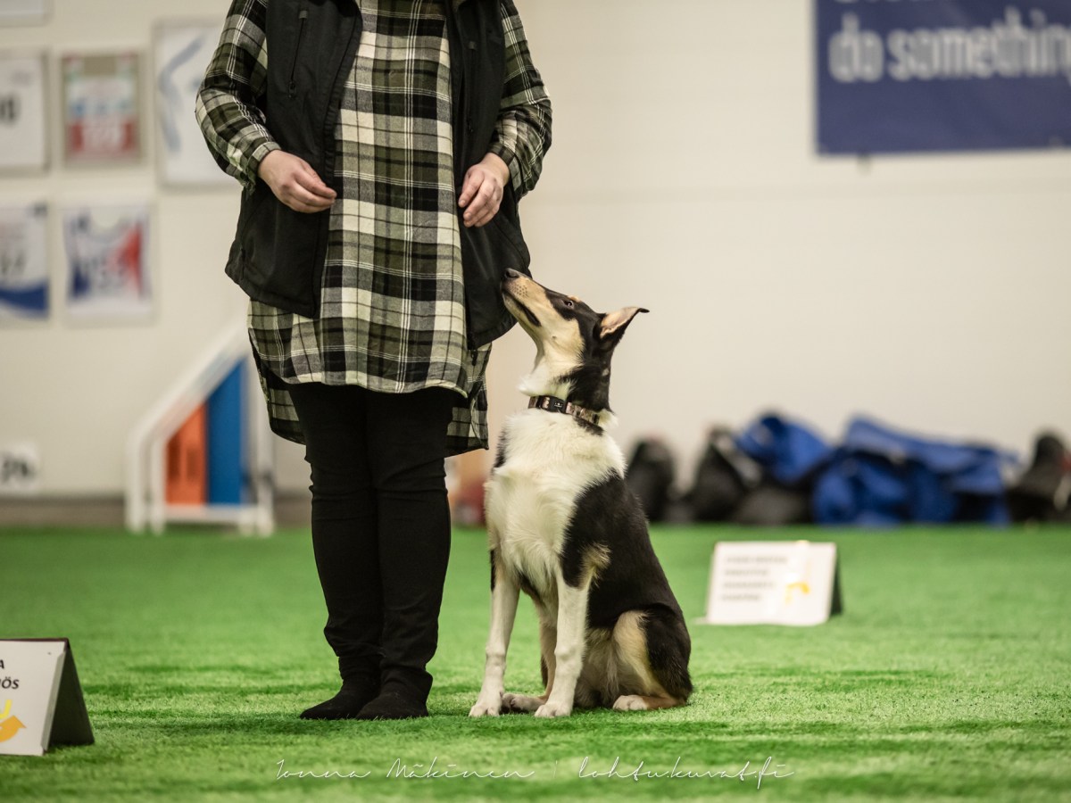 Rallykisa Salo 28.9.25