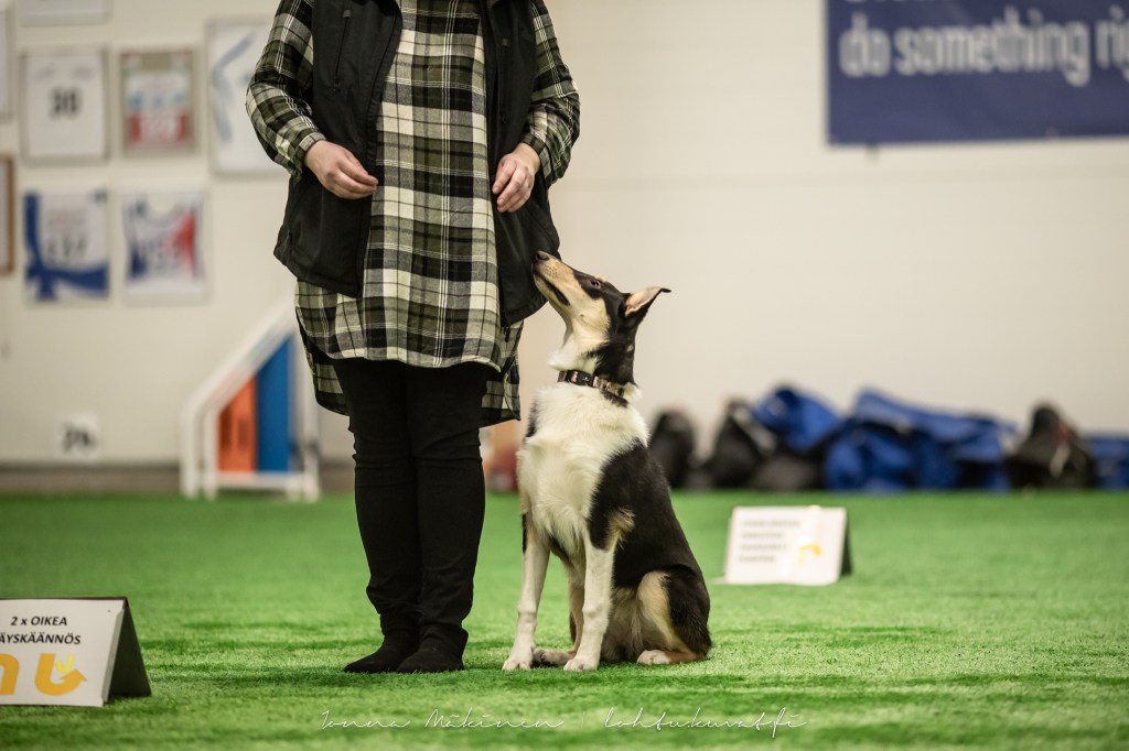 Rallykisa Salo 28.9.25