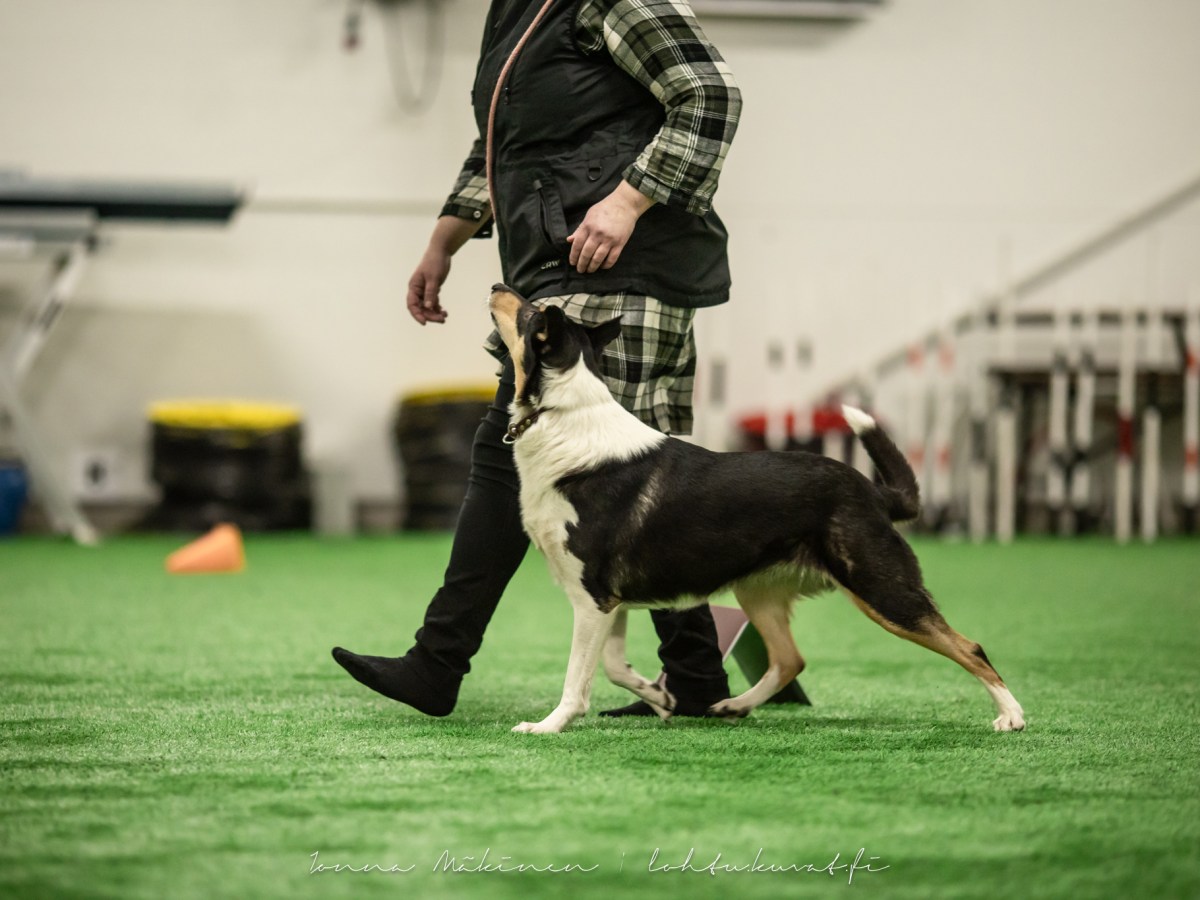 Rally-tokon tavoitteita