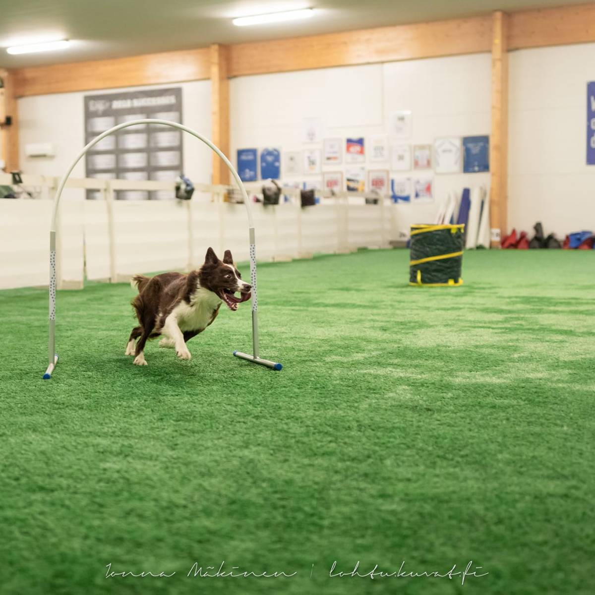 Hoopers att 6.1.2026