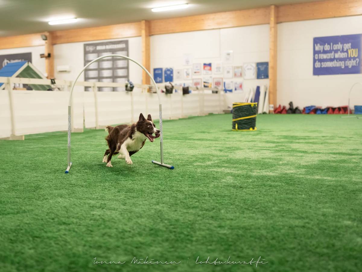 Hoopers att 6.1.2026