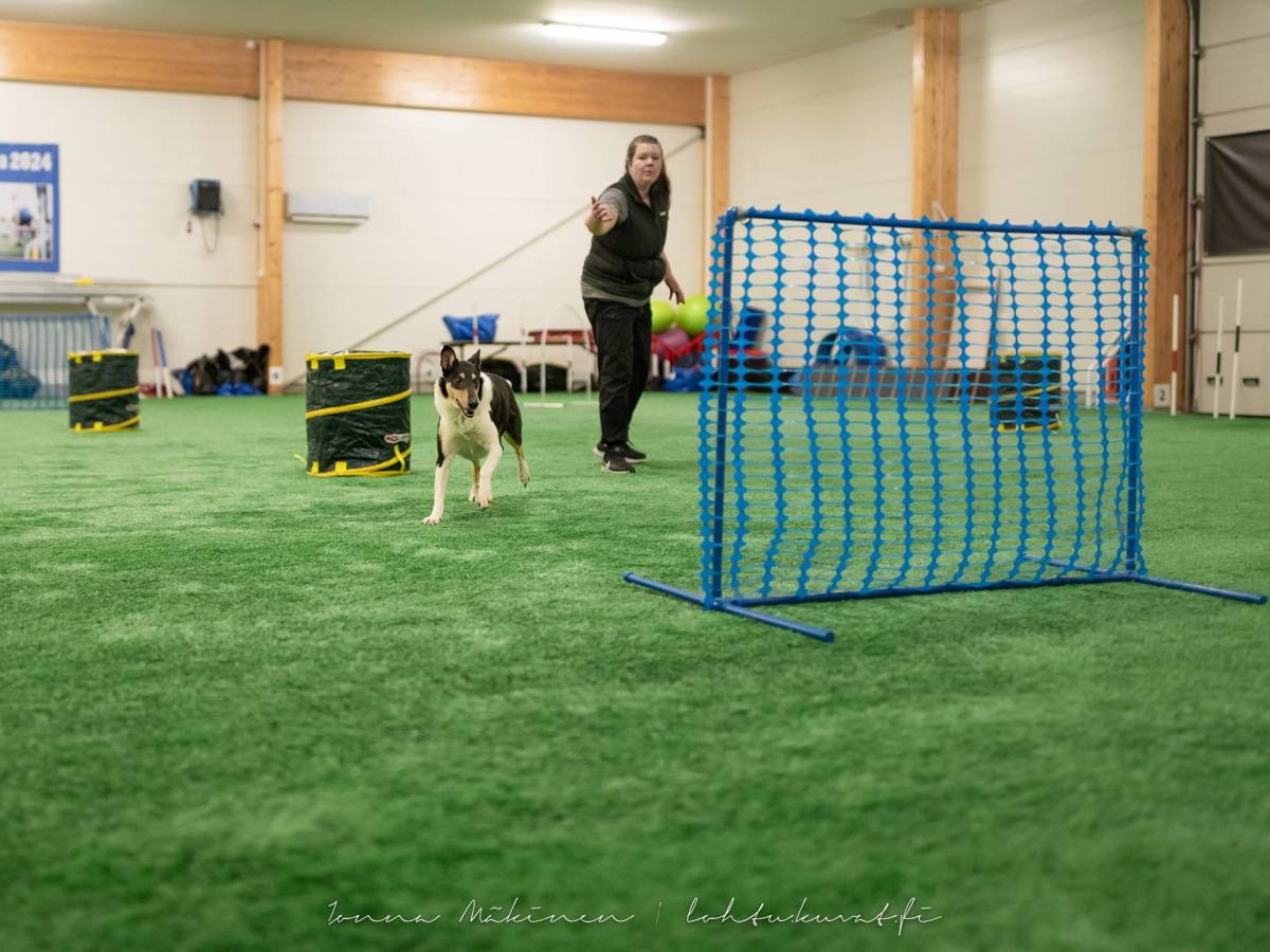 Treenit marras-joulukuu