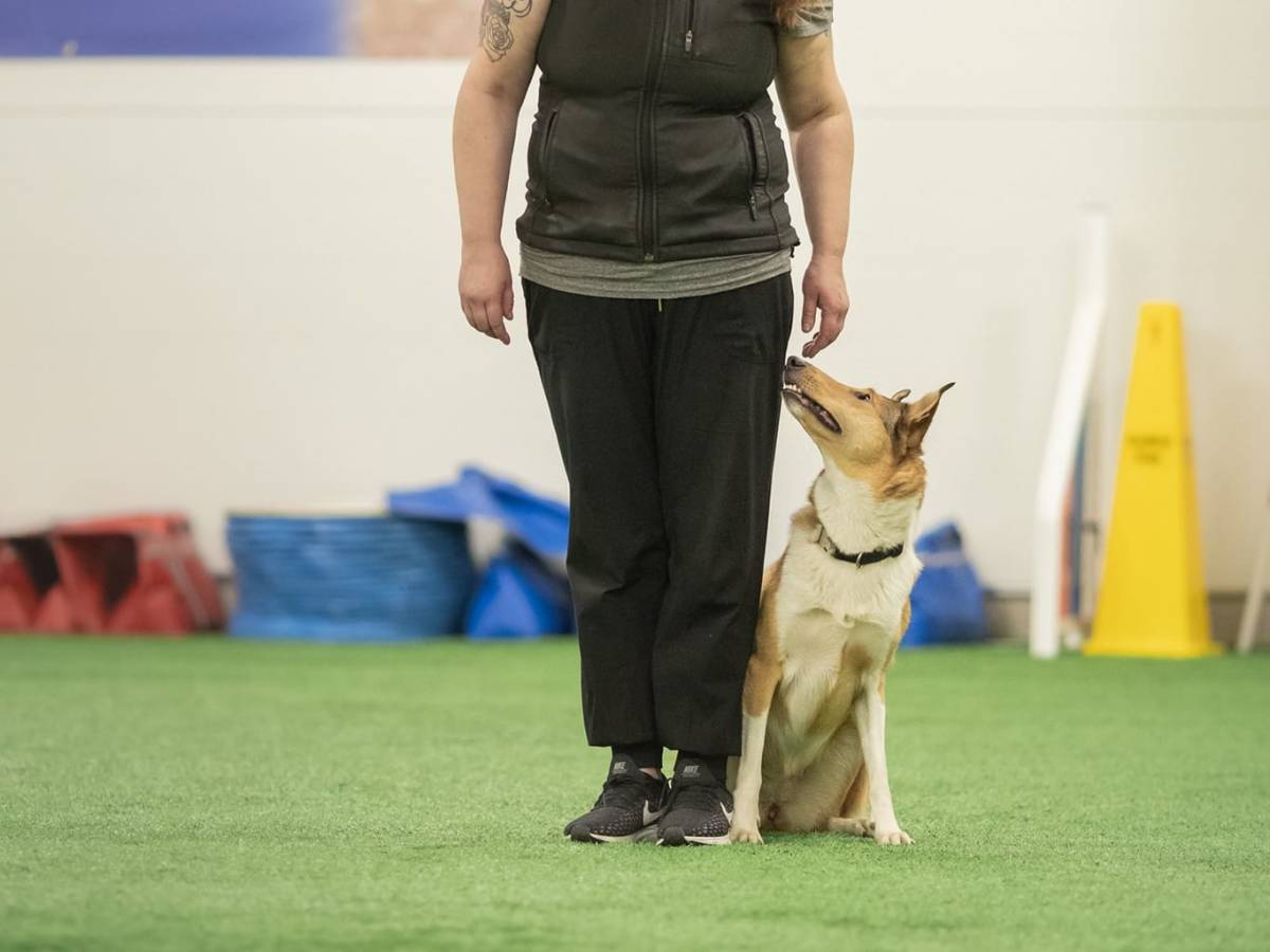 rally-toko Lohja 9.8.25