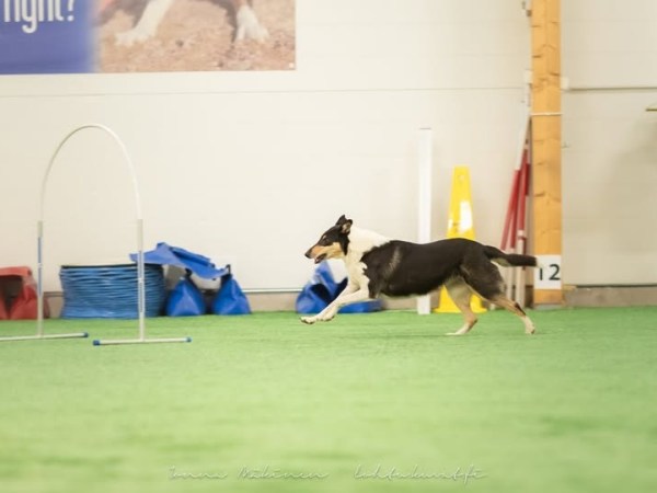 Syksyn 2025 kurssit&nbsp;myynnissä