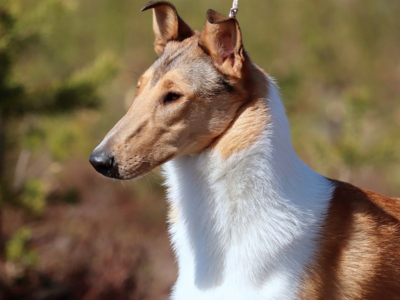 irmasta junnuvalio Oulussa&nbsp;5.7.25