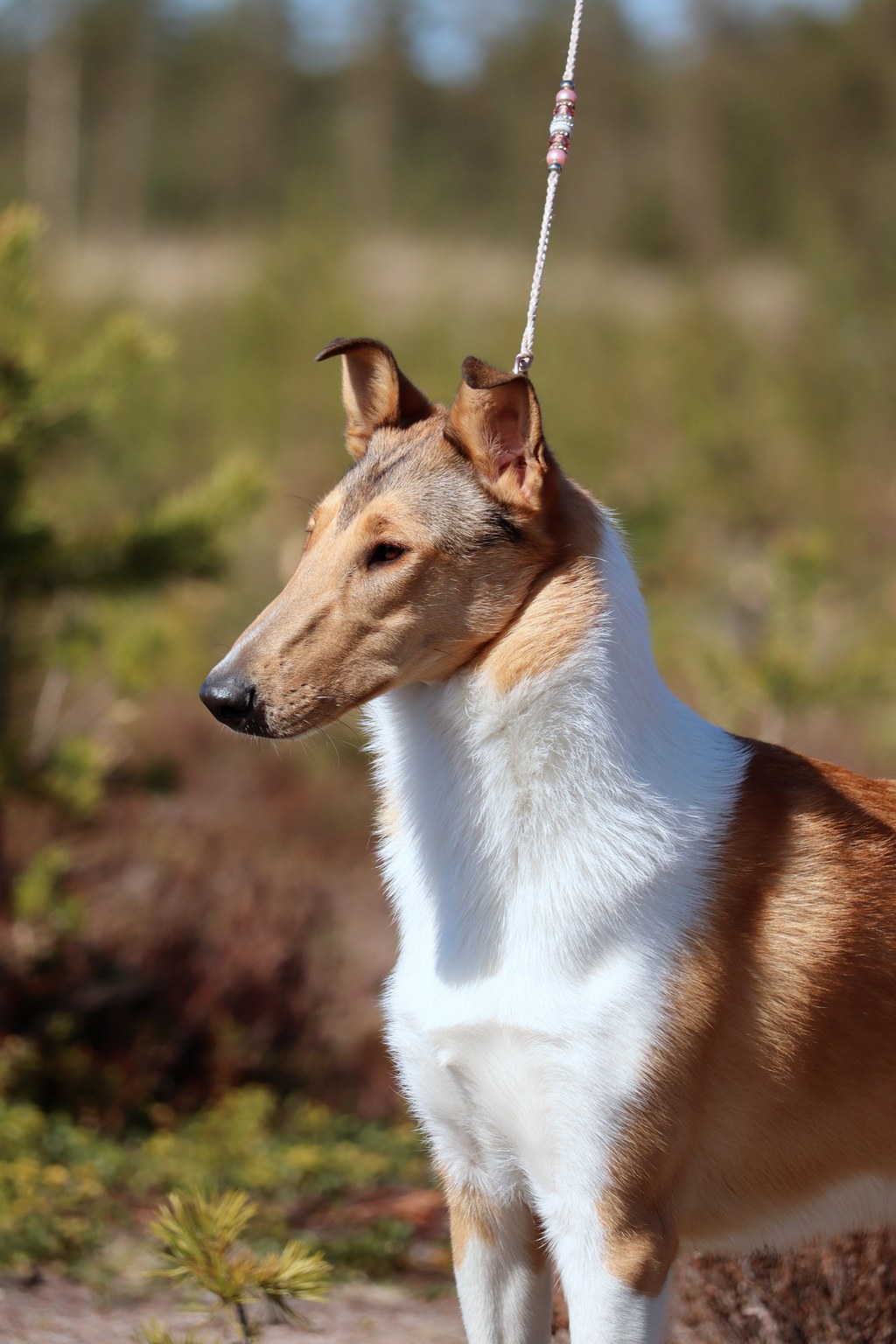 irmasta junnuvalio Oulussa&nbsp;5.7.25