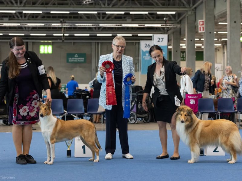 Helsinki WDS CIRCUIT&nbsp;2025