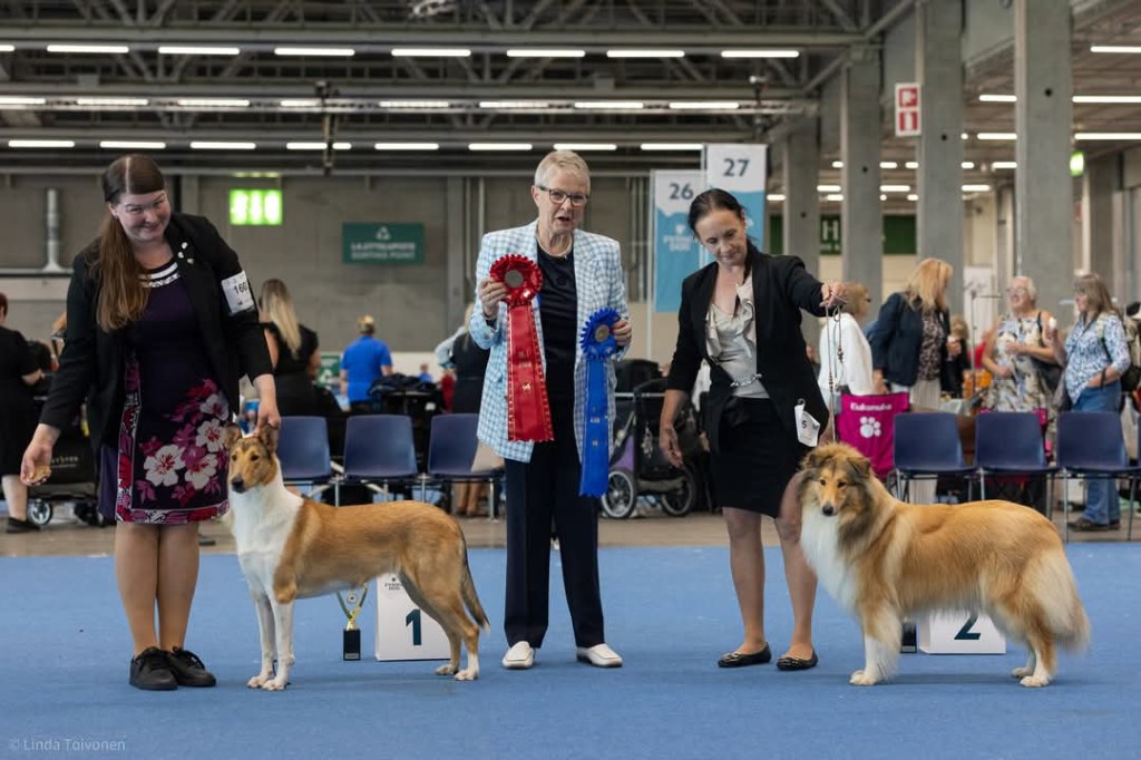 Helsinki WDS CIRCUIT&nbsp;2025