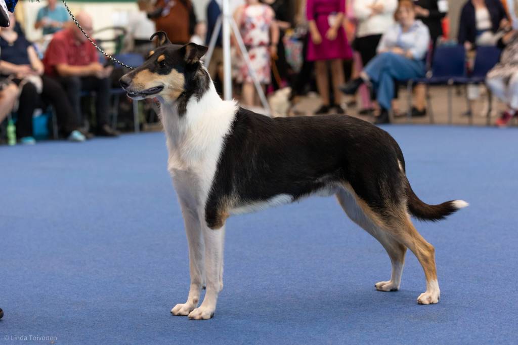Haapsalu, Viro 30-31.8.25