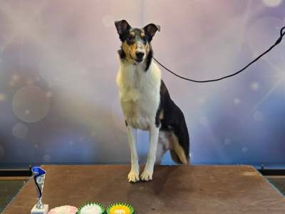 Niilosta Balttian juniorivoittaja!