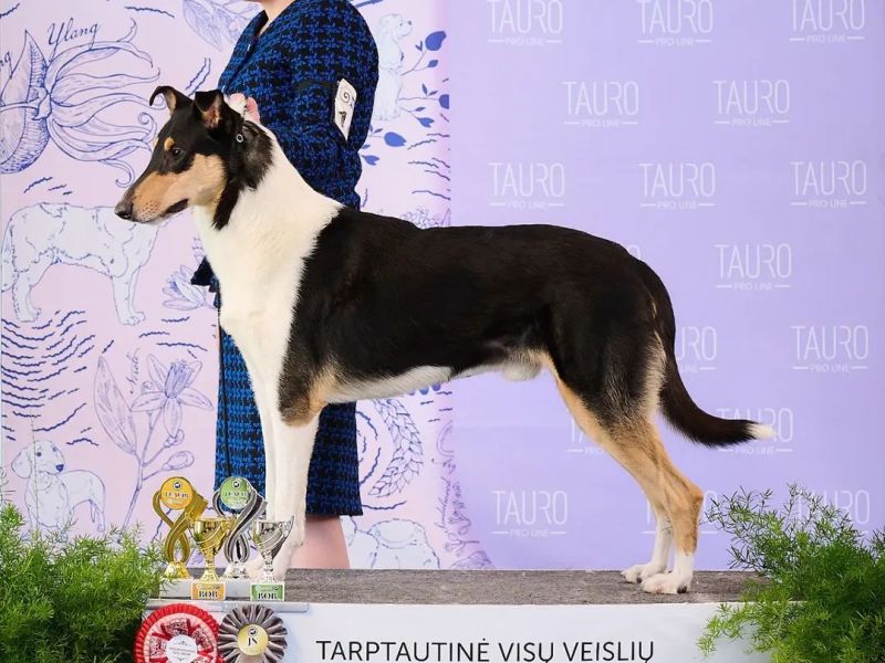 Niilo Rop Haminassa!