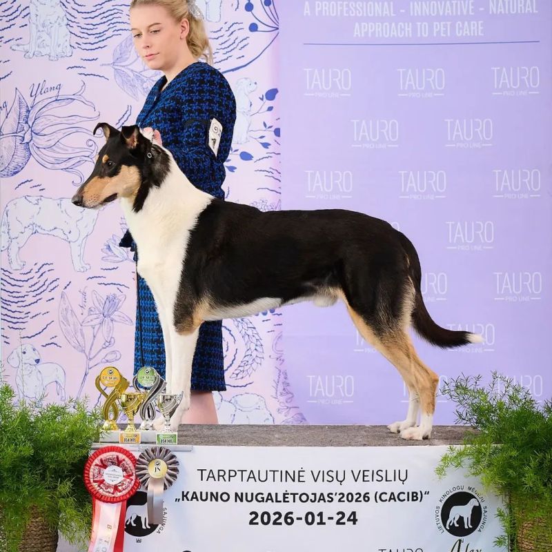 Niilo Rop Haminassa!